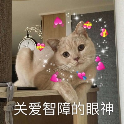 �ɰ�è��΢��ͼƬ