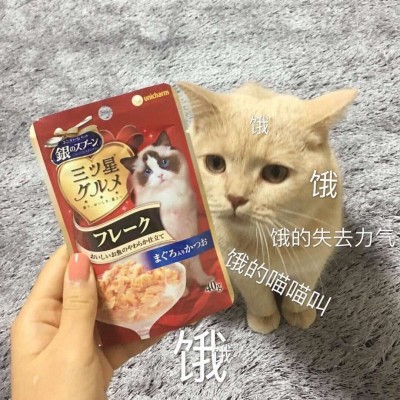 �ɰ�è��΢��ͼƬ