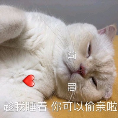 �ɰ�è��΢��ͼƬ