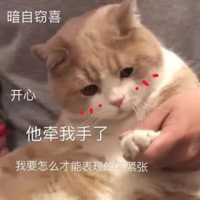 �ɰ�è��΢��ͼƬ