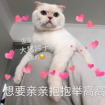 �ɰ�è��΢��ͼƬ