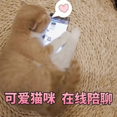 �ɰ�è��΢��ͼƬ