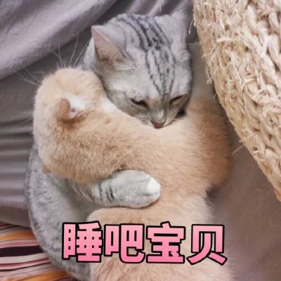 �ɰ�è��΢��ͼƬ