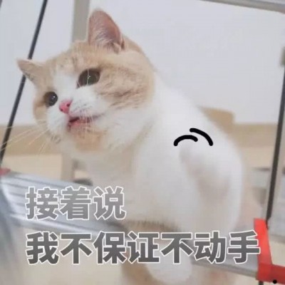 �ɰ�è��΢��ͼƬ