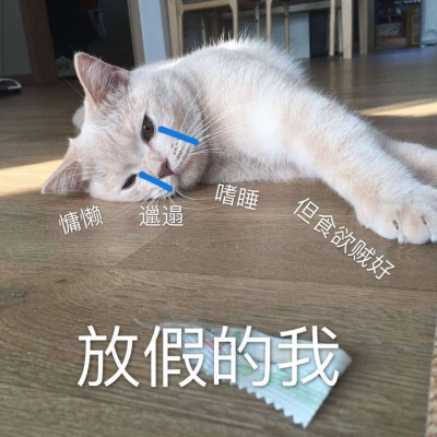 �ɰ�è��΢��ͼƬ