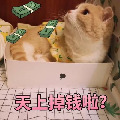 �ɰ�è��΢��ͼƬ