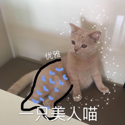 �ɰ�è��΢��ͼƬ