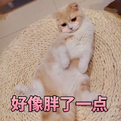 �ɰ�è��΢��ͼƬ