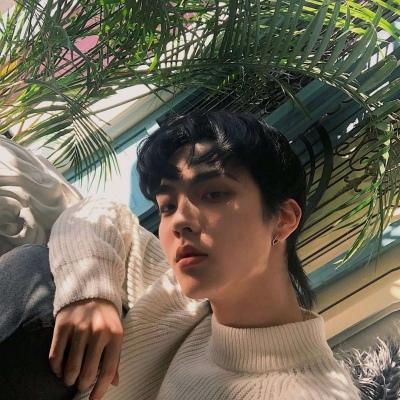 ��������ͷ������ins��-�ɰ���