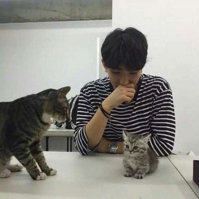 ˧����������ͷ��ѡ