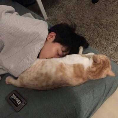 ˧����������ͷ��ѡ