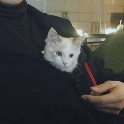 ��������������΢��ͷ���ȫ ������Ķ����ĵİ���