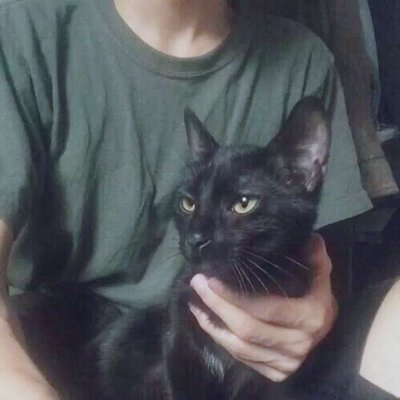 ��������������΢��ͷ���ȫ ������Ķ����ĵİ���