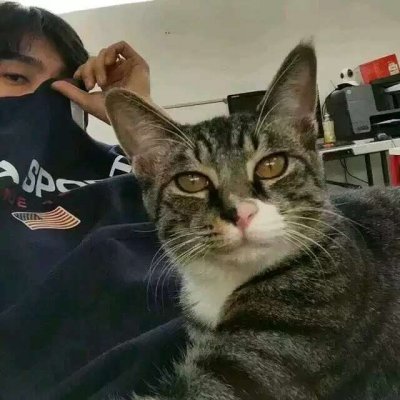 ��������������΢��ͷ���ȫ ������Ķ����ĵİ���