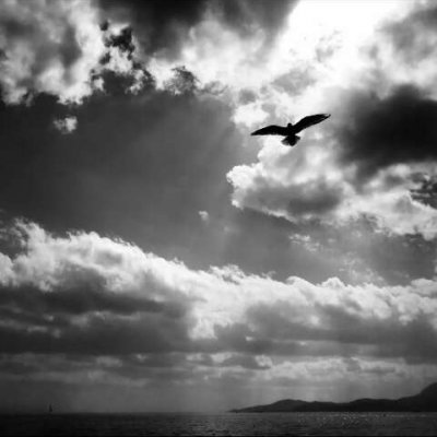 Ψ�����ͼƬ--���ĵ�Ӱ