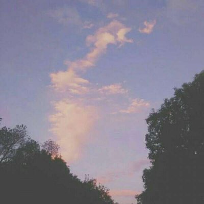 Ψ�����ͼƬ--���ĵ�Ӱ