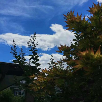 Ψ�����ͼƬ--���ĵ�Ӱ