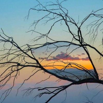 Ψ�����ױ���ͷ�����̵���-�ɰ���