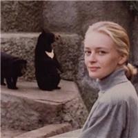 �߶�����ŷ������ͷ�����ŷֿ���Լ