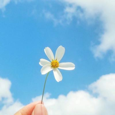 ΢�ŷ羰ͷ�����»���ͼƬ Ψ���⾳��������