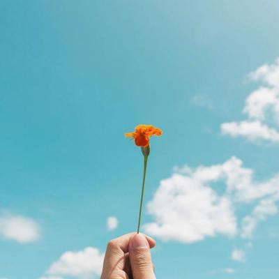 ΢�ŷ羰ͷ�����»���ͼƬ Ψ���⾳��������