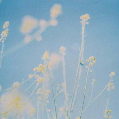 ΢�ŷ羰ͷ�����»���ͼƬ Ψ���⾳��������