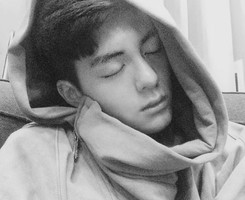 �������������ڰ�ͷ�� ����ƻ�����ֹ��