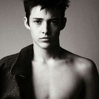 �������������ڰ�ͷ�� ����ƻ�����ֹ��