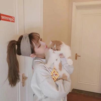 Ψ��΢��ͷ�񡪡�����ܿ࣬�������