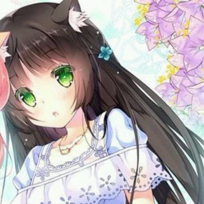 ���ۿ�ͨΨ��ͷ��