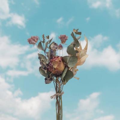 ��ɫϵ��Ȼ���Ψ��ͼƬ