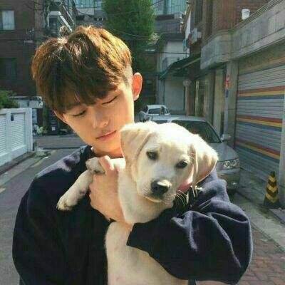 �ɾ�˧��������ͷ--��һ������������