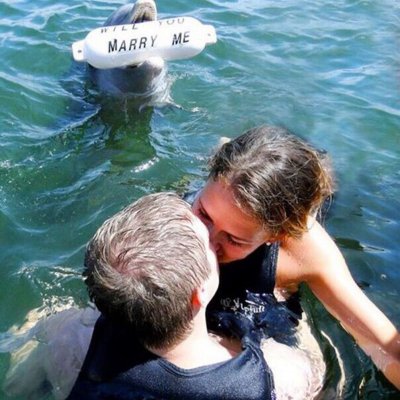 ŷ����ͷ--��Ӧ�ң�������������