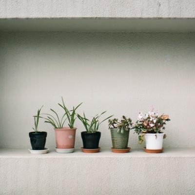 ����Ψ���羰ͼƬ�����ȫ����