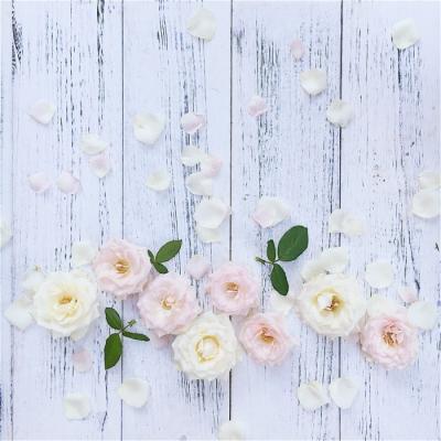 ����Ψ���羰ͼƬ�����ȫ����