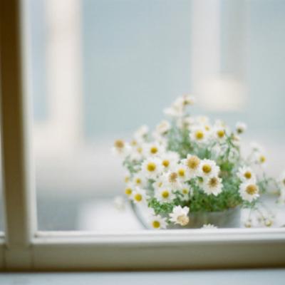 ����Ψ���羰ͼƬ�����ȫ����