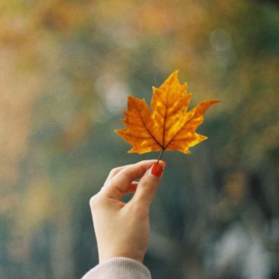 ����Ψ���羰ͼƬ�����ȫ����