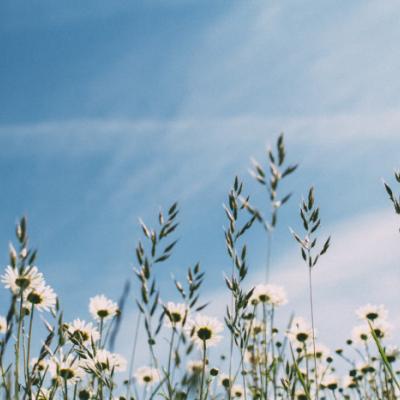 ����Ψ���羰ͼƬ�����ȫ����