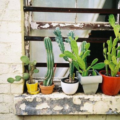 ����Ψ���羰ͼƬ�����ȫ����