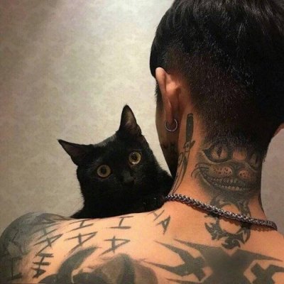 �����Ͼ޻���������԰���ͷ��