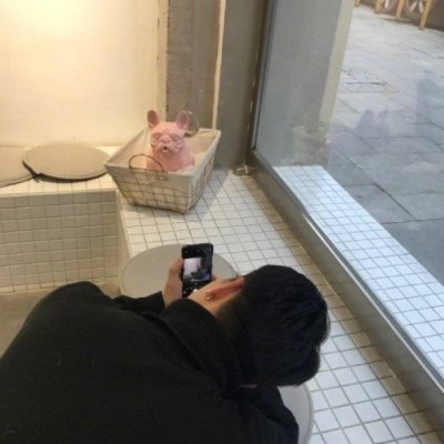 �����Ͼ޻���������԰���ͷ��