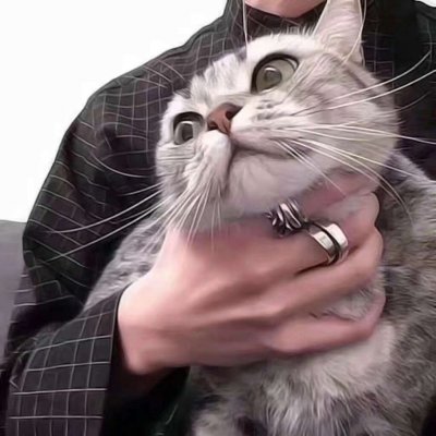 ����è������ͷ��ɰ������� ����ȫ������õ�