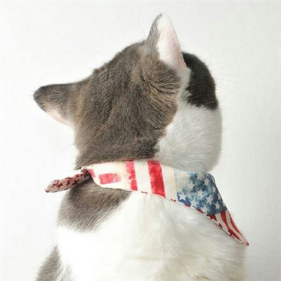 ����è������ͷ��ɰ������� ����ȫ������õ�