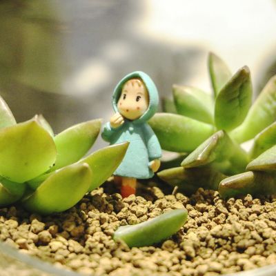 Ψ��΢������Ȧ����ͼ