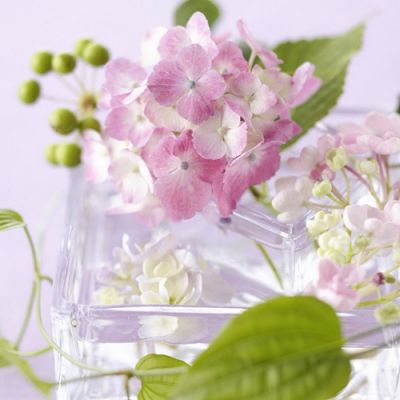 Ψ��΢������Ȧ����ͼ