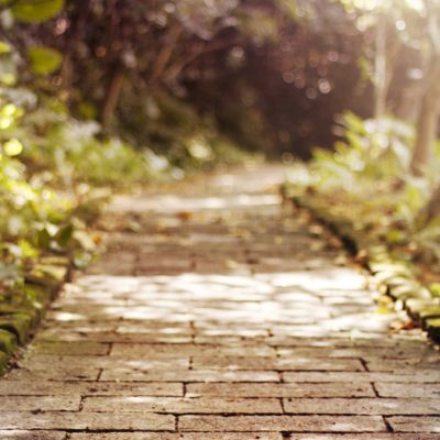 Ψ��΢������Ȧ����ͼ