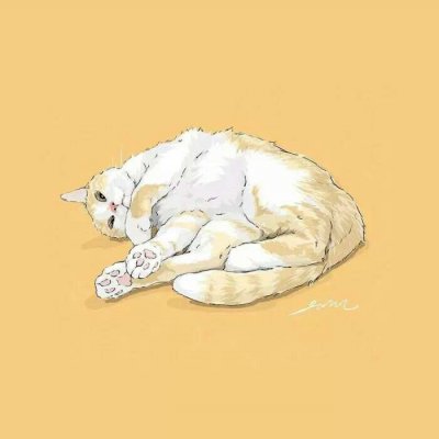 �������Ŀɰ�Сè��ͨͷ��