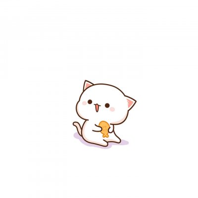 �������Ŀɰ�Сè��ͨͷ��