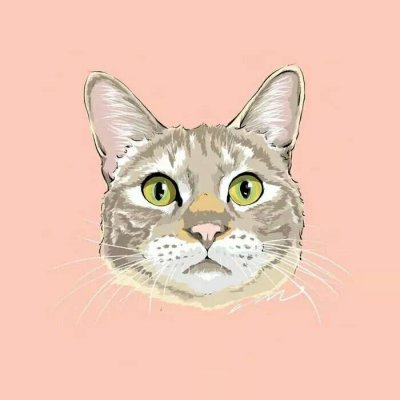 �������Ŀɰ�Сè��ͨͷ��