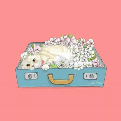 �������Ŀɰ�Сè��ͨͷ��